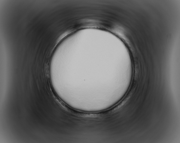 X0000084551329200703231728