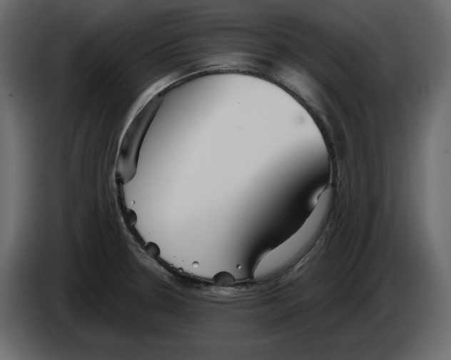 X0000084551330200703231728