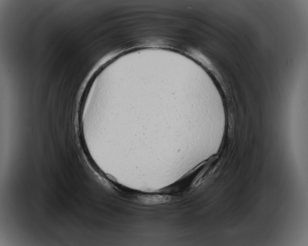 X0000084551331200703231728