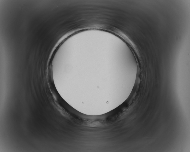 X0000084551332200703231728