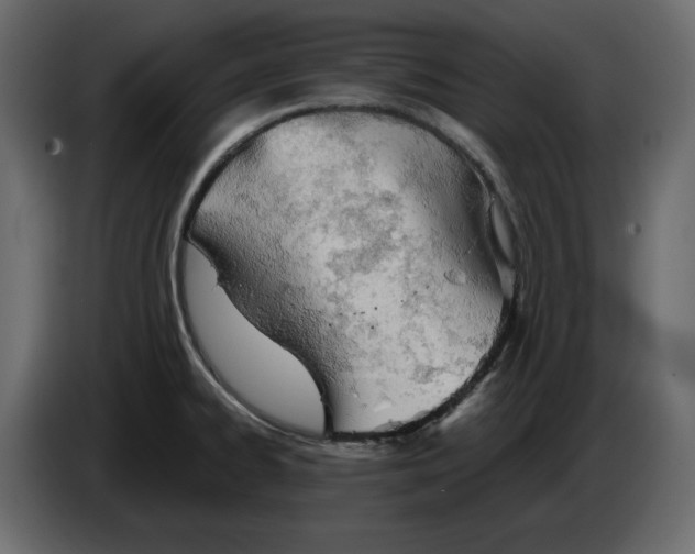 X0000084551334200703231728