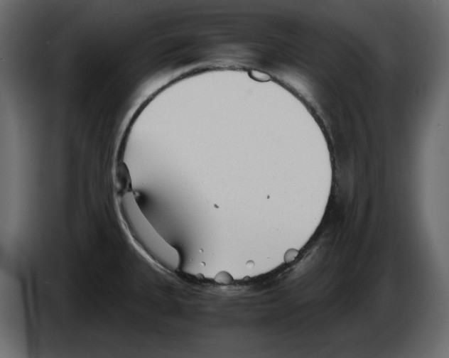 X0000084551335200703231728