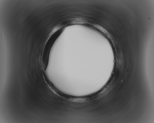 X0000084551337200703231728