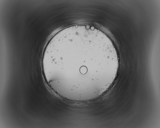 X0000084551338200703231728