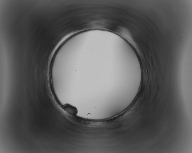 X0000084551339200703231728