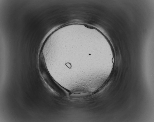 X0000084551341200703231728