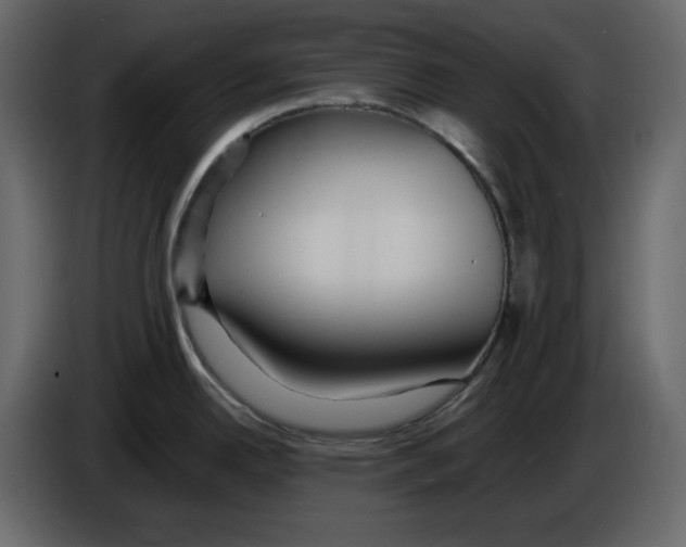 X0000084551342200703231728