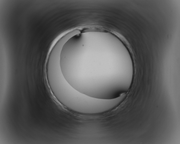 X0000084551344200703231728