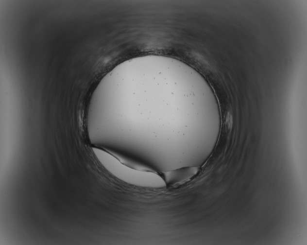 X0000084551348200703231727