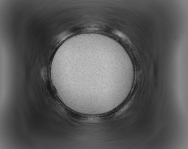 X0000084551353200703231727