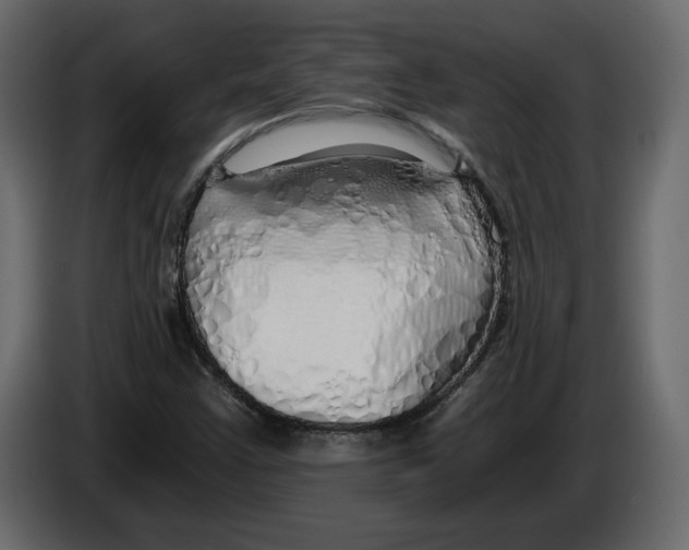 X0000084551355200703231727