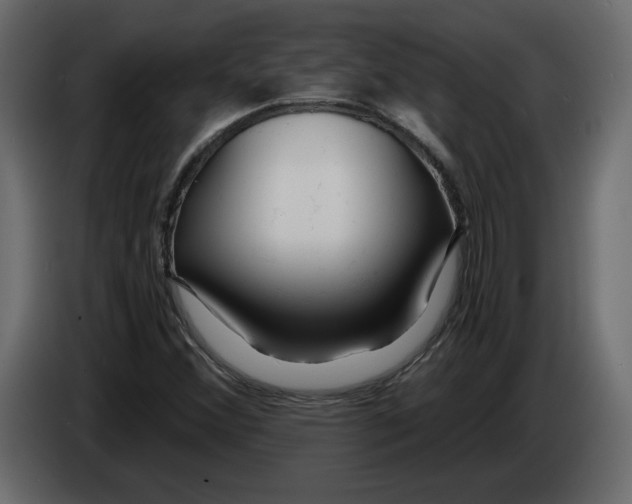 X0000084551356200703231727