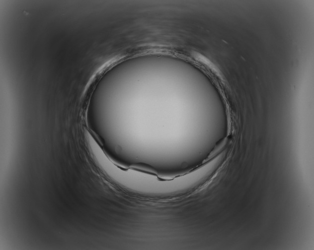 X0000084551357200703231727