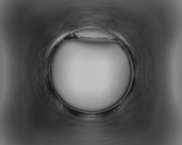 X0000084551359200703231727