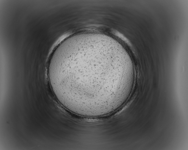 X0000084551362200703231727