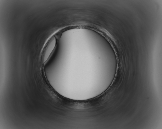 X0000084551364200703231727