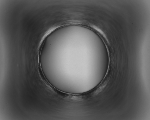 X0000084551365200703231727