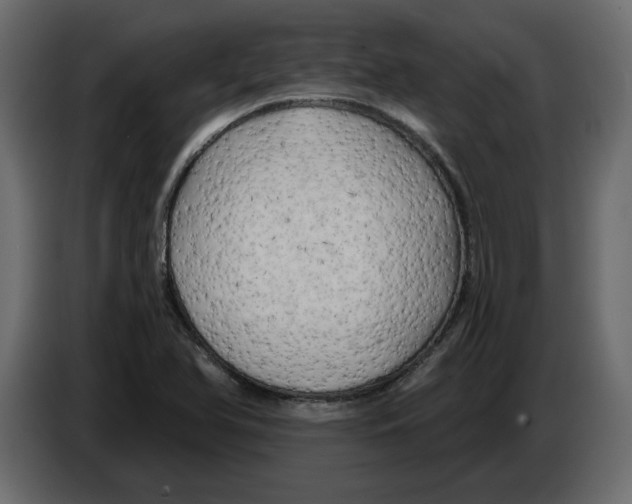 X0000084551366200703231727