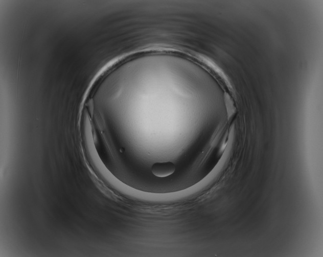 X0000084551372200703231727