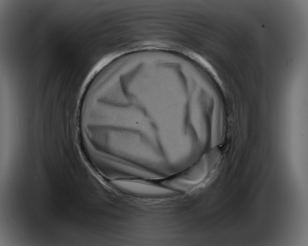 X0000084551373200703231727