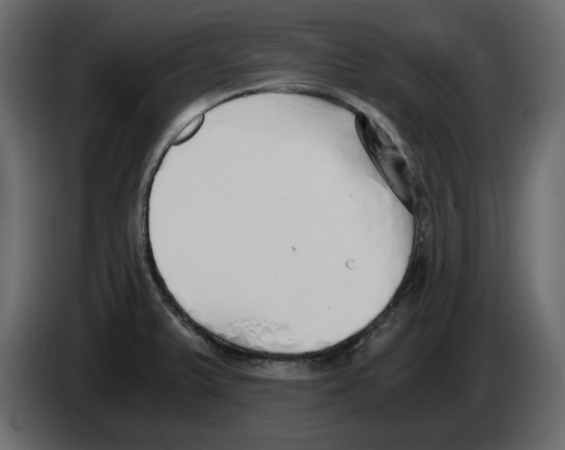 X0000084551375200703231727