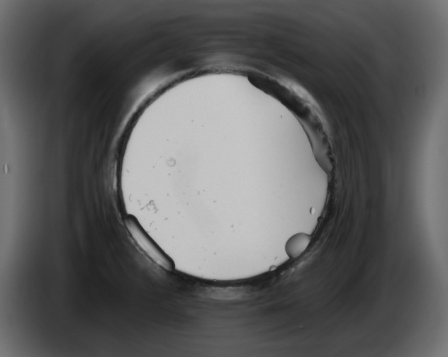 X0000084551376200703231727