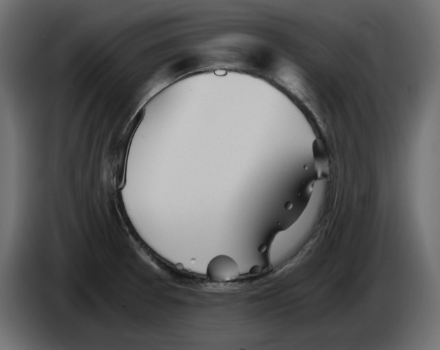 X0000084551377200703231727