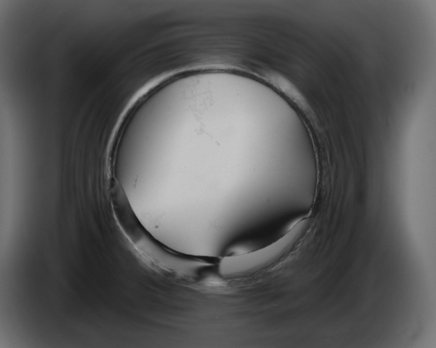 X0000084551380200703231727