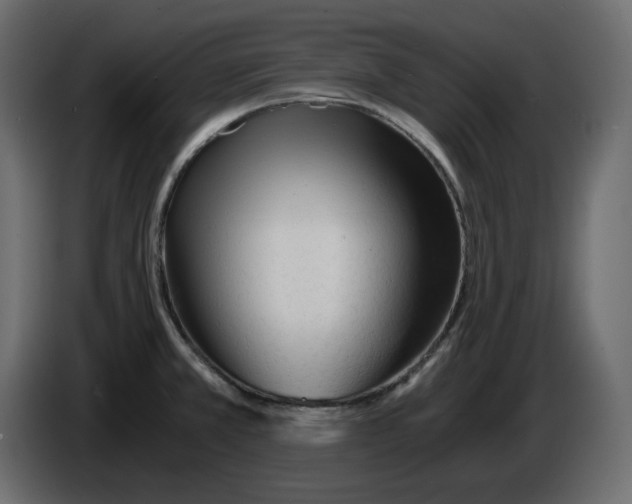 X0000084551381200703231727