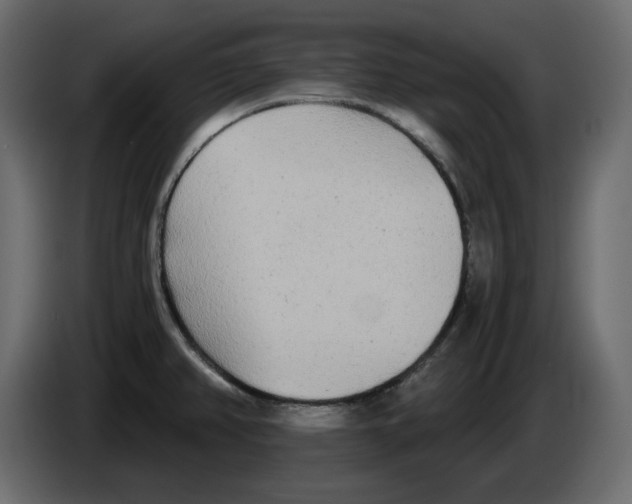 X0000084551382200703231727