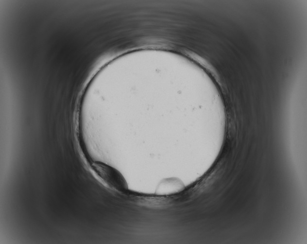 X0000084551383200703231727