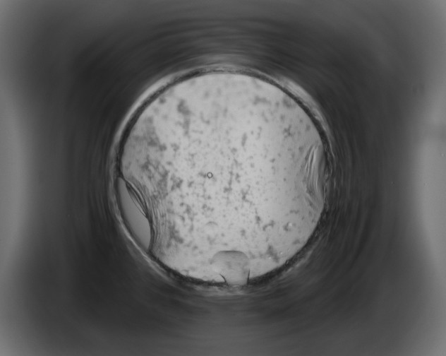 X0000084551384200703231727