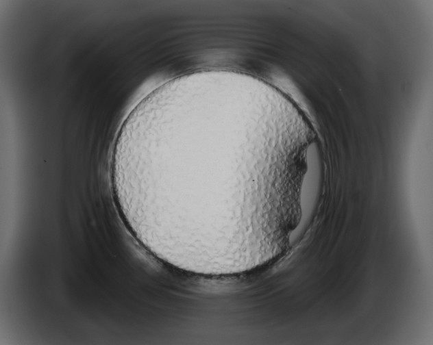 X0000084551386200703231727