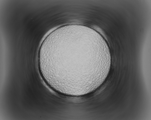 X0000084551387200703231727