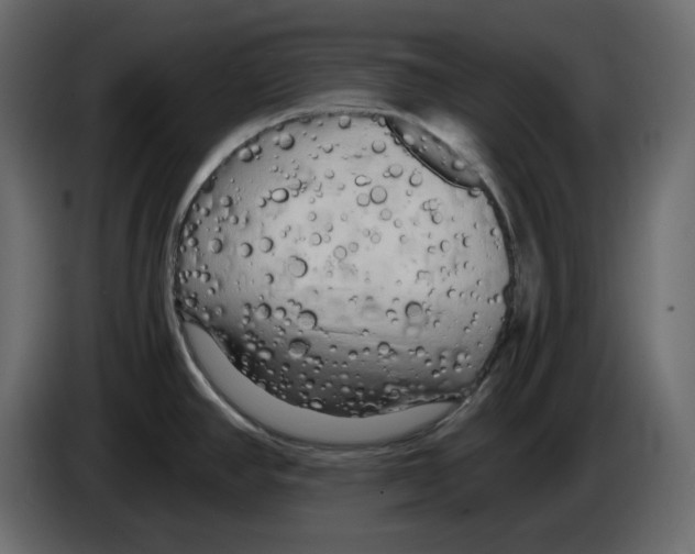 X0000084551390200703231727