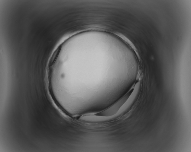 X0000084551391200703231727