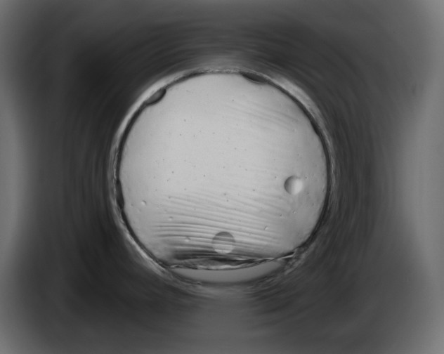 X0000084551392200703231727