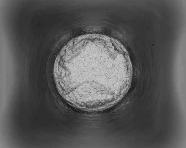 X0000084551393200703231726