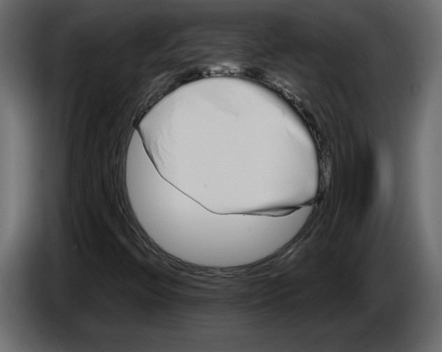 X0000084551396200703231726