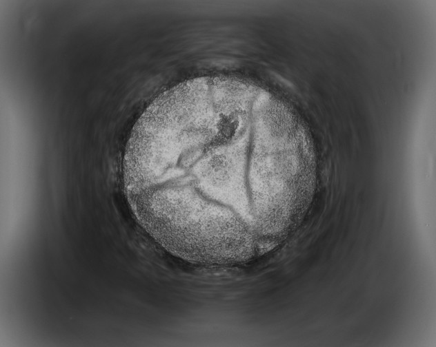 X0000084551397200703231726