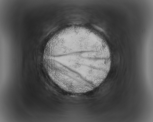 X0000084551399200703231726