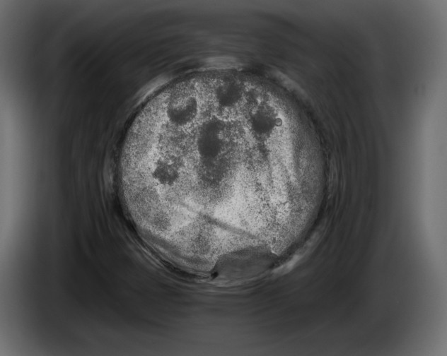 X0000084551401200703231726