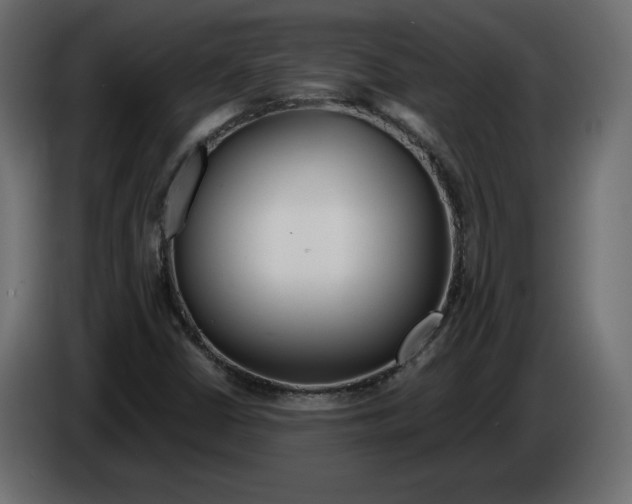 X0000084551402200703231726