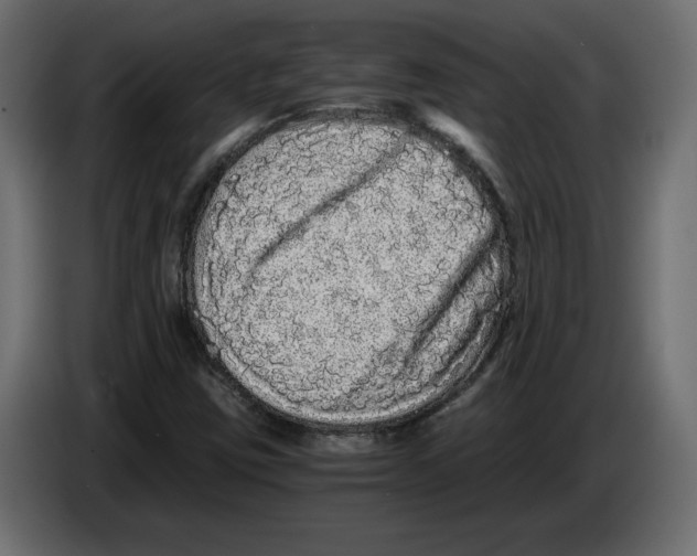 X0000084551403200703231726