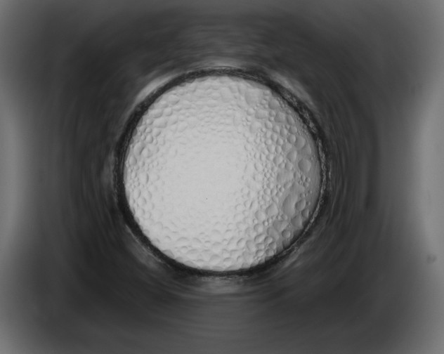 X0000084551404200703231726