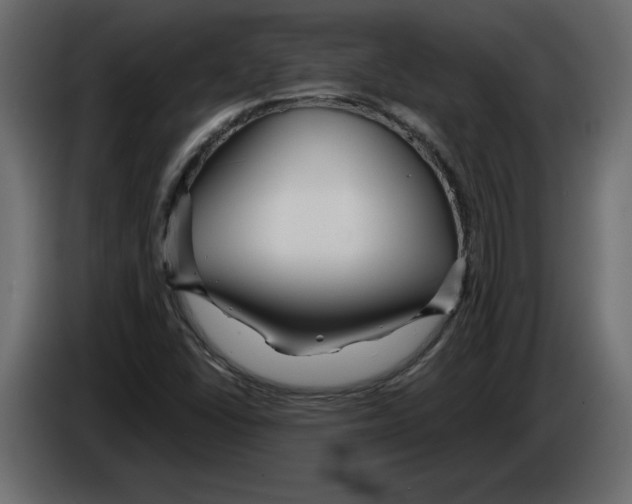 X0000084551406200703231726