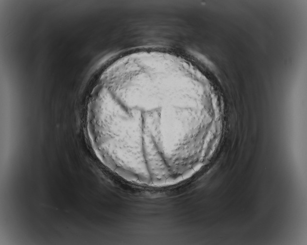 X0000084551407200703231726