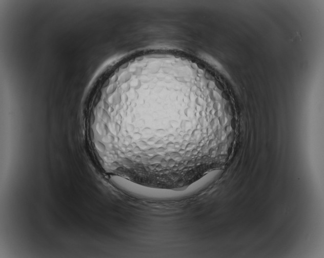 X0000084551408200703231726