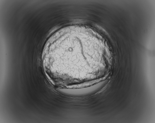 X0000084551409200703231726