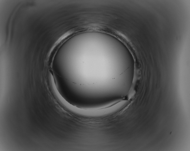 X0000084551410200703231726